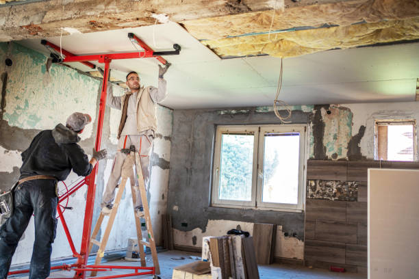 Best Cellulose Insulation  in Brighton, AL