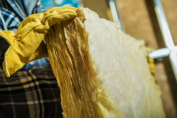 Best Insulation Installation Cost  in Brighton, AL