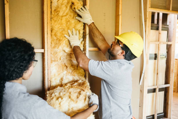 Best Affordable Insulation Services  in Brighton, AL