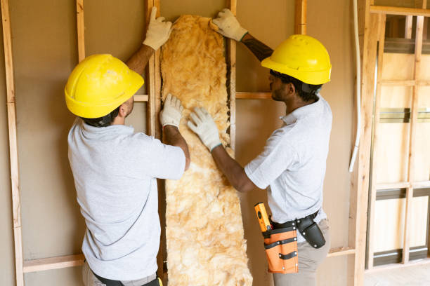 Best Home Insulation Services  in Brighton, AL