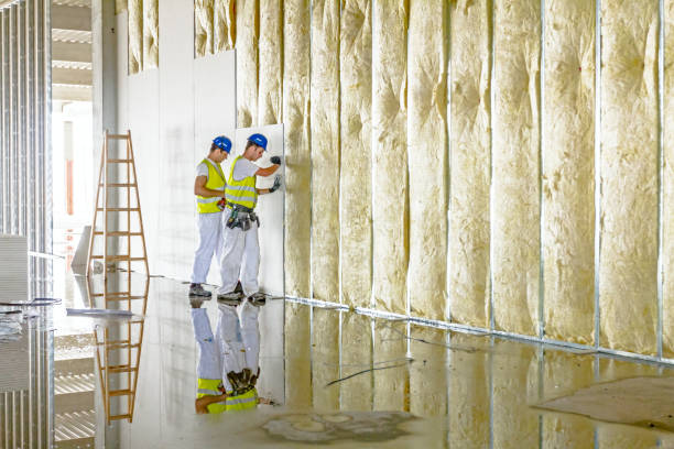 Best Insulation for New Construction  in Brighton, AL
